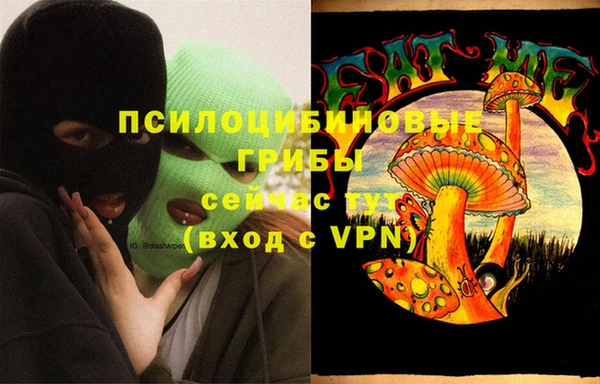 шишки Аркадак