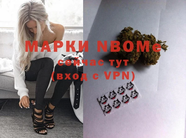 шишки Аркадак