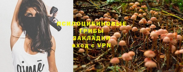 шишки Аркадак