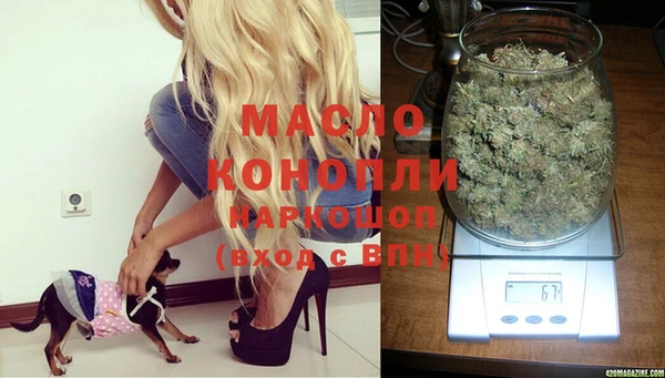 шишки Аркадак