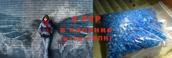 шишки Аркадак