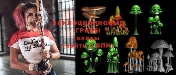 шишки Аркадак
