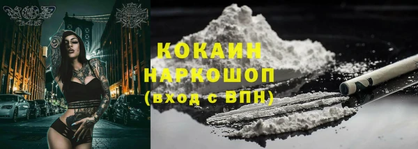 шишки Аркадак